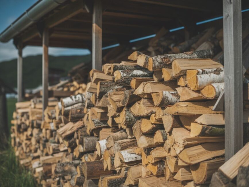 sezonowanie drewna brzozowegoluxelogs+2
